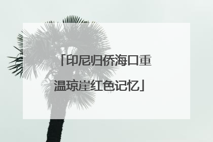 印尼归侨海口重温琼崖红色记忆