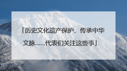 历史文化遗产保护、传承中华文脉……代表们关注这些事