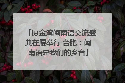 厦金湾闽南语交流盛典在厦举行 台胞：闽南语是我们的乡音