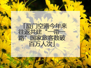 厦门空港今年来往返共建“一带一路”国家旅客数破百万人次