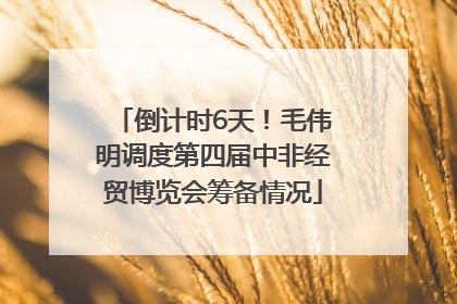 倒计时6天！毛伟明调度第四届中非经贸博览会筹备情况