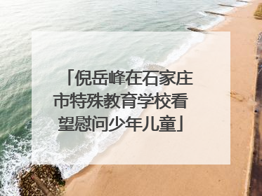 倪岳峰在石家庄市特殊教育学校看望慰问少年儿童