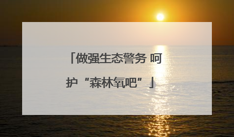 做强生态警务 呵护“森林氧吧”