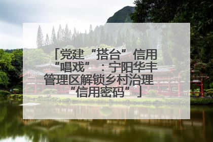 党建“搭台”信用“唱戏”：宁阳华丰管理区解锁乡村治理“信用密码”