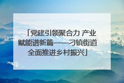 党建引领聚合力 产业赋能谱新篇——刁镇街道全面推进乡村振兴