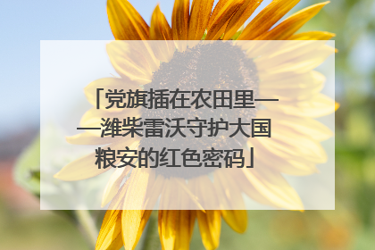 党旗插在农田里——潍柴雷沃守护大国粮安的红色密码