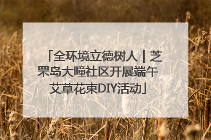 全环境立德树人｜芝罘岛大疃社区开展端午艾草花束DIY活动