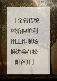 全省传统村落保护利用工作现场推进会在松阳召开
