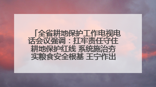 全省耕地保护工作电视电话会议强调：扛牢责任守住耕地保护红线 系统施治夯实粮食安全根基 王宁作出批示 王予波出席并讲话