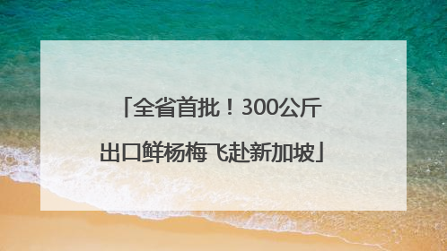 全省首批！300公斤出口鲜杨梅飞赴新加坡
