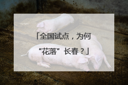 全国试点，为何“花落”长春？