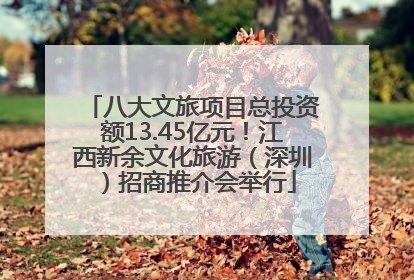 八大文旅项目总投资额13.45亿元！江西新余文化旅游（深圳）招商推介会举行
