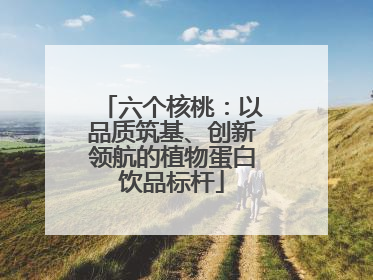 六个核桃：以品质筑基、创新领航的植物蛋白饮品标杆