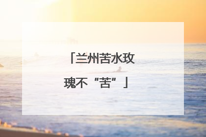 兰州苦水玫瑰不“苦”