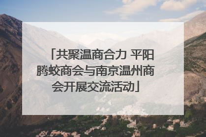 共聚温商合力 平阳腾蛟商会与南京温州商会开展交流活动