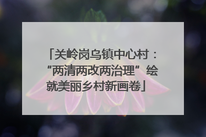 关岭岗乌镇中心村：“两清两改两治理”绘就美丽乡村新画卷