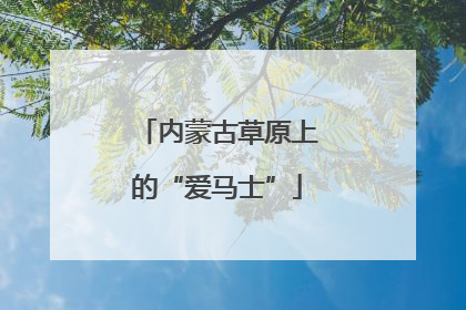 内蒙古草原上的“爱马士”