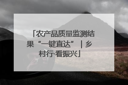 农产品质量监测结果“一键直达”｜乡村行·看振兴