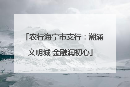 农行海宁市支行：潮涌文明城 金融润初心