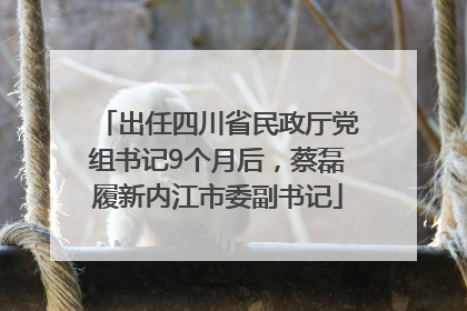 出任四川省民政厅党组书记9个月后，蔡磊履新内江市委副书记