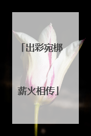 出彩宛梆 薪火相传
