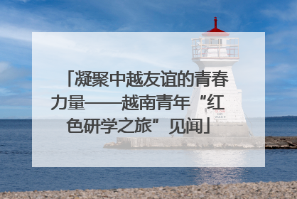 凝聚中越友谊的青春力量——越南青年“红色研学之旅”见闻
