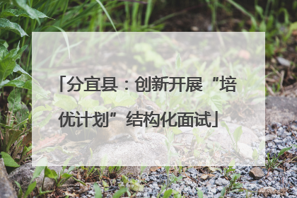 分宜县：创新开展“培优计划”结构化面试