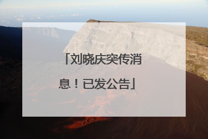 刘晓庆突传消息！已发公告