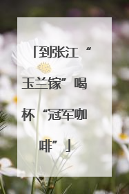 到张江“玉兰镓”喝杯“冠军咖啡”