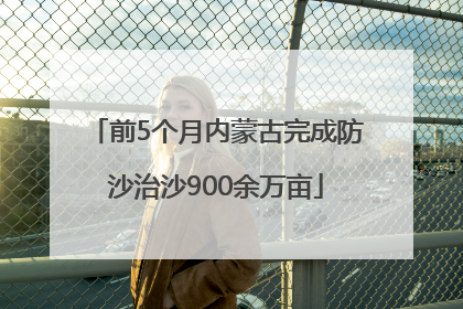 前5个月内蒙古完成防沙治沙900余万亩