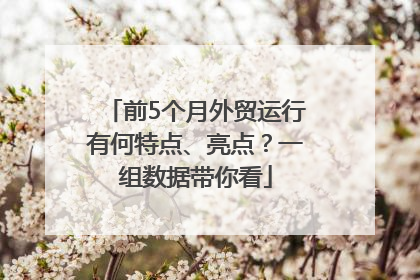 前5个月外贸运行有何特点、亮点？一组数据带你看