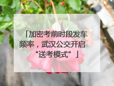 加密考前时段发车频率，武汉公交开启“送考模式”