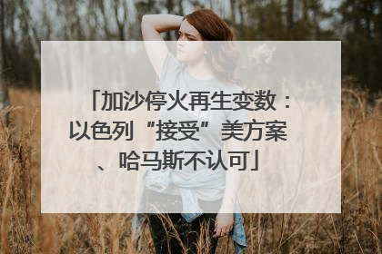 加沙停火再生变数：以色列“接受”美方案、哈马斯不认可