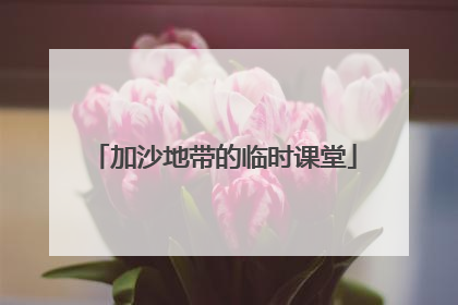 加沙地带的临时课堂