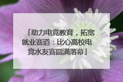 助力电竞教育，拓宽就业赛道：比心高校电竞水友赛圆满落幕