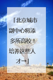 北京城市副中心将添多所高校！培养这些人才→