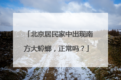 北京居民家中出现南方大蟑螂，正常吗？