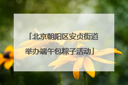 北京朝阳区安贞街道举办端午包粽子活动