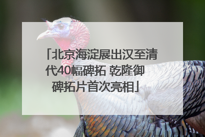 北京海淀展出汉至清代40幅碑拓 乾隆御碑拓片首次亮相