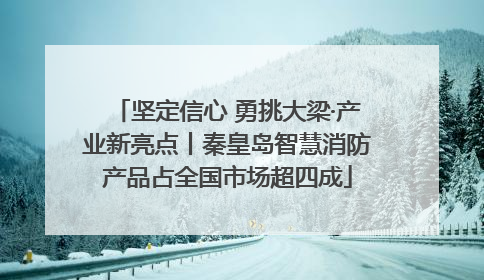 坚定信心 勇挑大梁·产业新亮点丨秦皇岛智慧消防产品占全国市场超四成