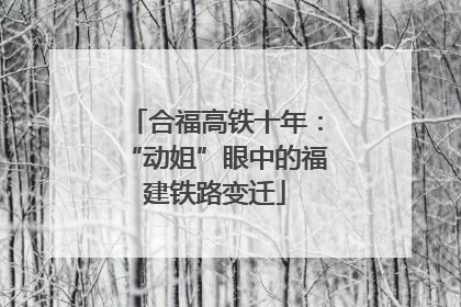 合福高铁十年：“动姐”眼中的福建铁路变迁
