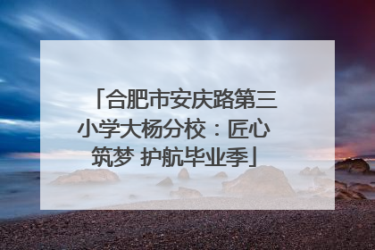 合肥市安庆路第三小学大杨分校：匠心筑梦 护航毕业季