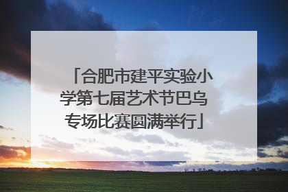 合肥市建平实验小学第七届艺术节巴乌专场比赛圆满举行