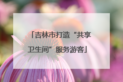 吉林市打造“共享卫生间”服务游客
