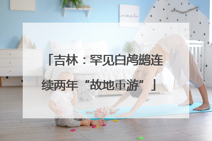 吉林：罕见白鸬鹚连续两年“故地重游”