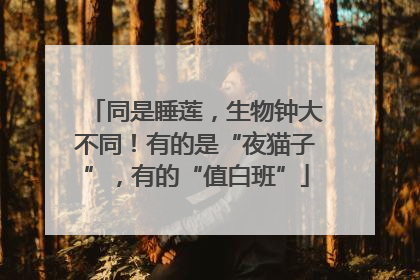 同是睡莲，生物钟大不同！有的是“夜猫子”，有的“值白班”
