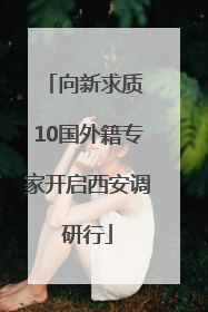 向新求质 10国外籍专家开启西安调研行