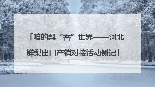 咱的梨“香”世界——河北鲜梨出口产销对接活动侧记