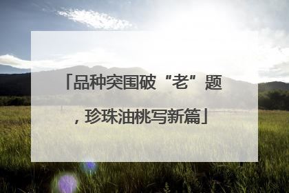 品种突围破“老”题，珍珠油桃写新篇
