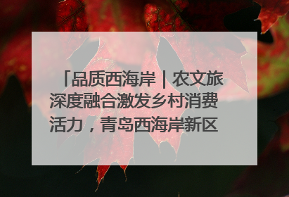 品质西海岸｜农文旅深度融合激发乡村消费活力，青岛西海岸新区的乡村振兴实践